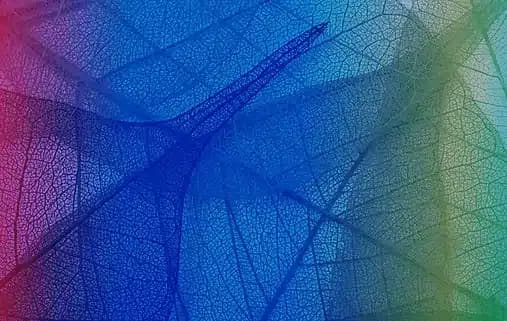 Exeevo Gartner How to Master Your Data